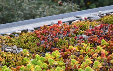 the cost of Llandaff green roof installation