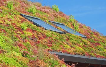 Llandaff living roof systems
